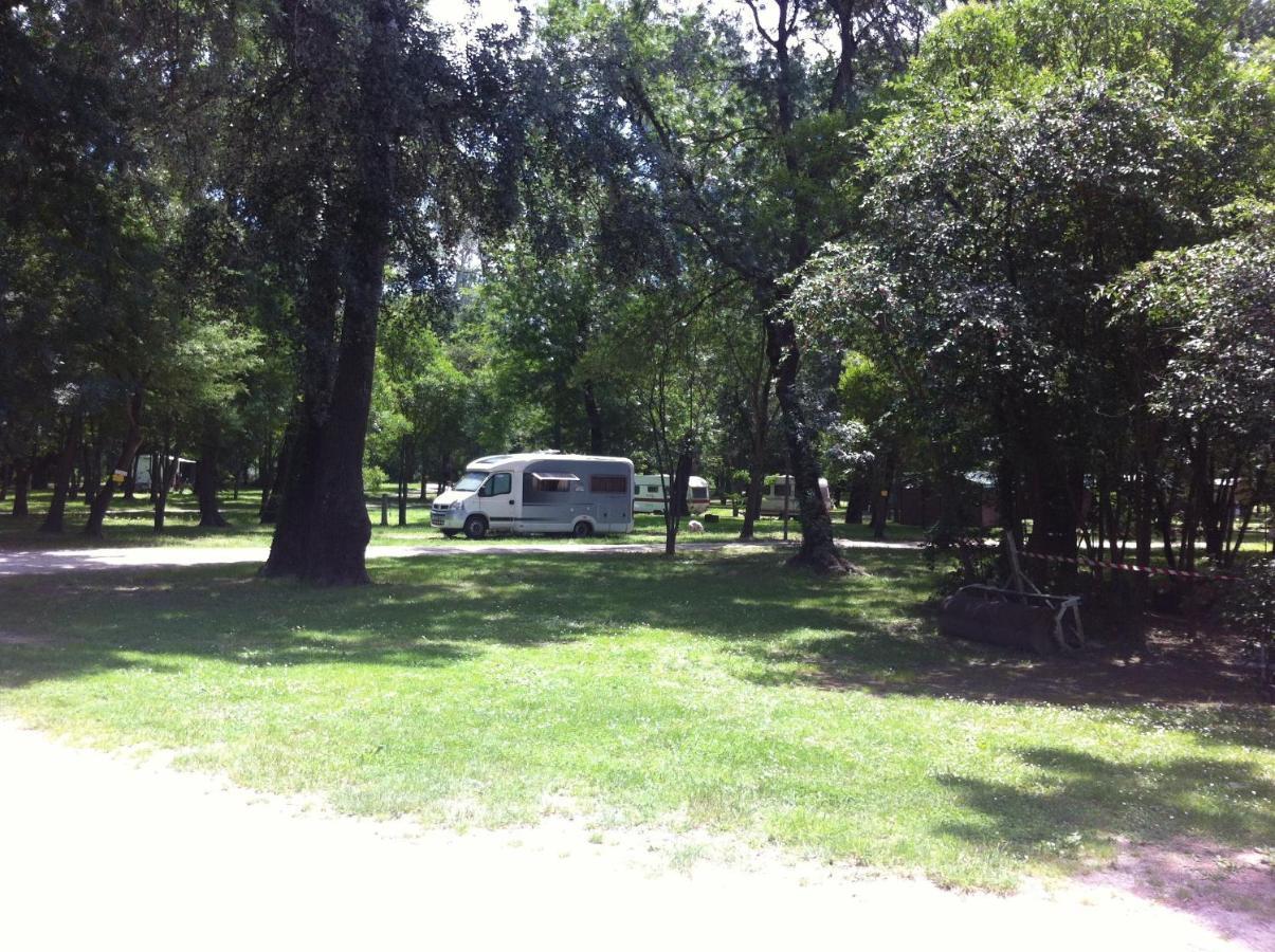 Du Lion Parque de Campismo 3*