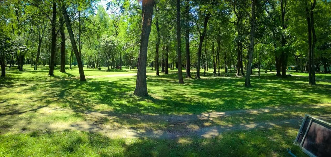 Du Lion Campsite 3*