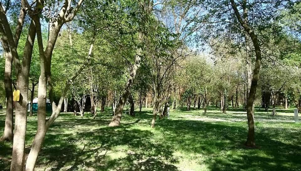 Du Lion Campsite