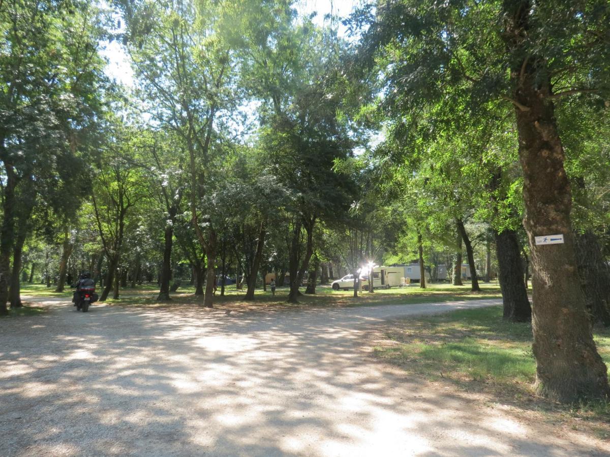 Camping Du Lion Bourg-Saint-Andéol